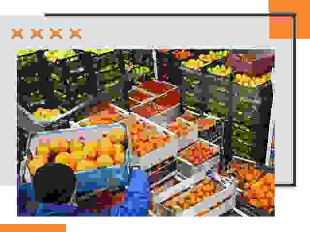 Перевозка скоропортящихся продуктов в изобильном